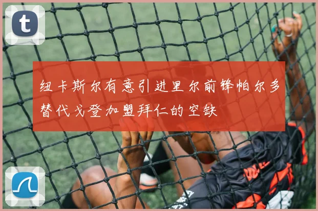 纽卡斯尔有意引进里尔前锋帕尔多替代戈登加盟拜仁的空缺